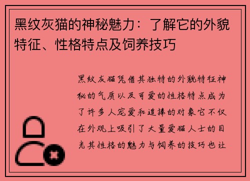 黑纹灰猫的神秘魅力：了解它的外貌特征、性格特点及饲养技巧
